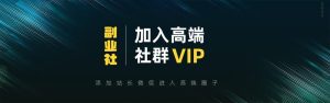 【VIP会员专属交流群】-优优云网创