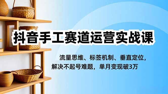 抖音手工赛道运营实战课,流量思维、标签机制、垂直定位,解决不起号难题,单月变现破3万-优优云网创