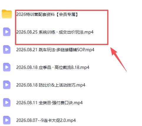 （20092期）拼多多实战特训营(更新26年0827)：不管是新手入门或老商家冲量，都有实操方法，跟着学，少走弯路-思丰网赚