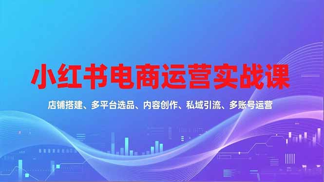小红书电商运营实战课，店铺搭建、多平台选品、内容创作、私域引流、多账号运营等玩法-优优云网创