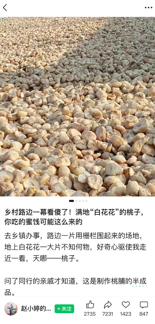 公众号小绿书贴图项目,赚收益实操玩法,听话照听话照少走90%弯路丨副业可做