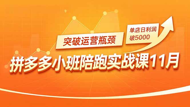 拼多多小班陪跑实战课11月,强付费矩阵、原价活动、暗券引流,突破运营瓶颈,单店日利润破5000-优优云网创