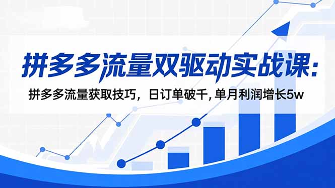 拼多多流量双驱动实战课:拼多多流量获取技巧,日订单破千,单月利润增长5w-优优云网创