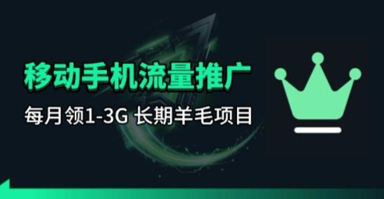 手机流量领取推广_每月一轮,刚需类的长期项目-优优云网创