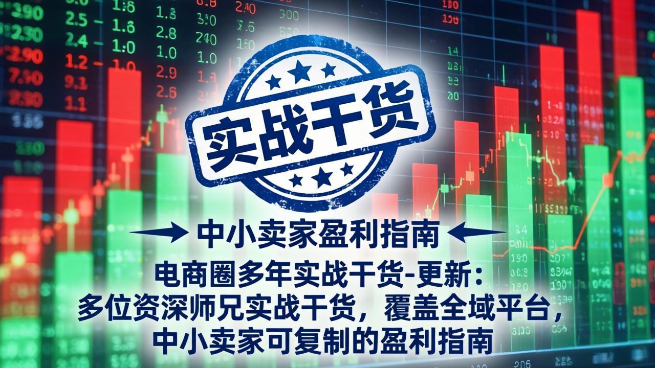 电商圈多年实战干货-更新5月20：多位资深师兄实战干货/覆盖全域平台，中小卖家可复制的盈利指南-优优云网创