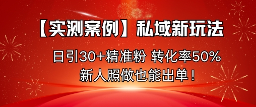 【实测案例】私域新玩法,日引30+精准粉,转化率50%,新人照做也能出单!-优优云网创