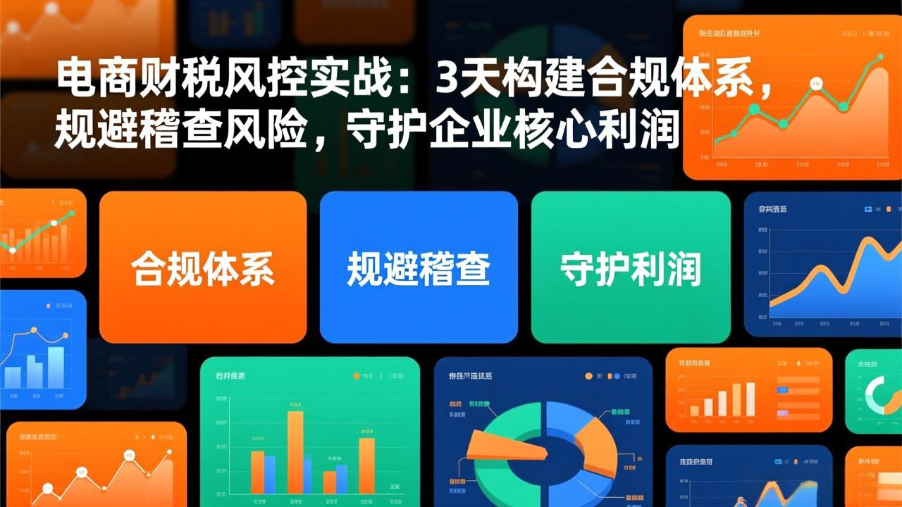 电商财税风控实战：3天构建合规体系，规避稽查风险，守护企业核心利润-优优云网创