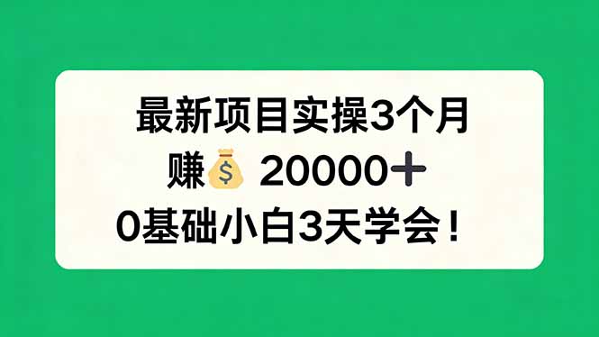 最新项目实操3个月,赚钱20000+,0基础小白3天学会!-优优云网创
