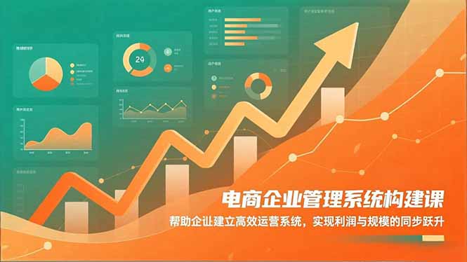 电商企业管理系统构建课:帮助企业建立高效运营系统,实现利润与规模的同步跃升-优优云网创
