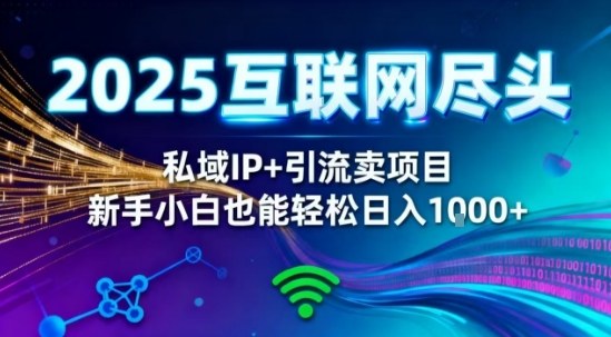 2025网创尽头王炸项目!私域IP+精准引流,新手小白在家躺賺日入1k,零经验也能上手【揭秘】-优优云网创