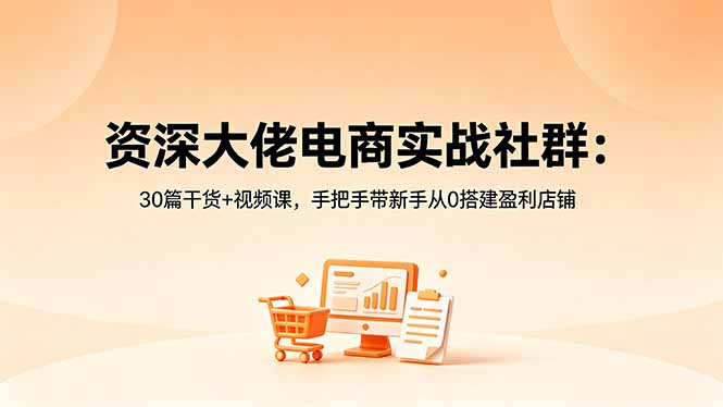 资深大佬电商实战社群：30篇干货+视频课，手把手带新手从0搭建盈利店铺-优优云网创