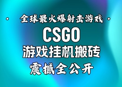 【年底大揭秘】基于全球最火爆的射击CSGO游戏挂G搬砖，日入5张+，震撼公开