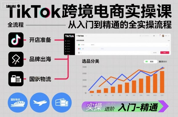 TikTok跨境电商实操课,从入门到精通的全实操流程-优优云网创