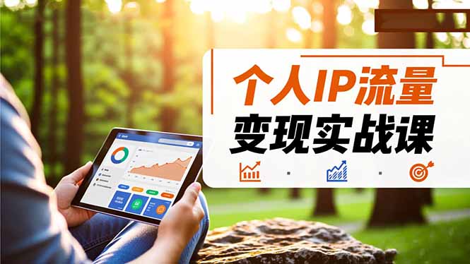 个人IP流量变现实战课,涵盖多平台引流、打造个人IP并实现稳定流量变现-优优云网创