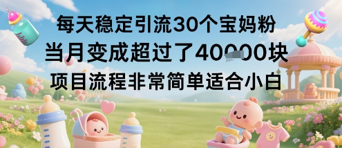 每天稳定引流30个宝妈粉当月变成超过了1W+项目流程非常简单适合小白-优优云网创