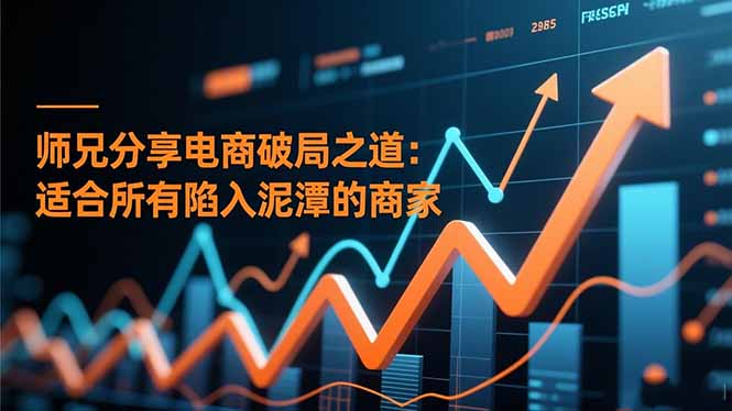 师兄分享电商破局之道:适合所有陷入泥潭的商家-优优云网创